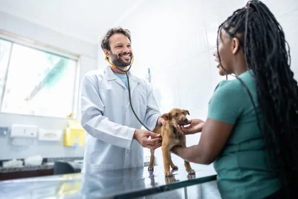 Imagem ilustrativa de Medico veterinario urologista em São Paulo