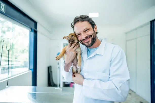 Imagem ilustrativa de Veterinário nefrologista em São Paulo