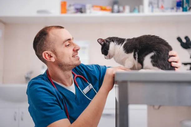 Imagem ilustrativa de Veterinário urologista na Zona Norte